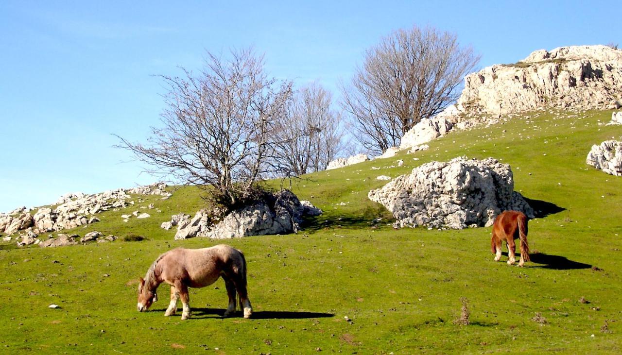 Hotel Berria Hasparren Dış mekan fotoğraf