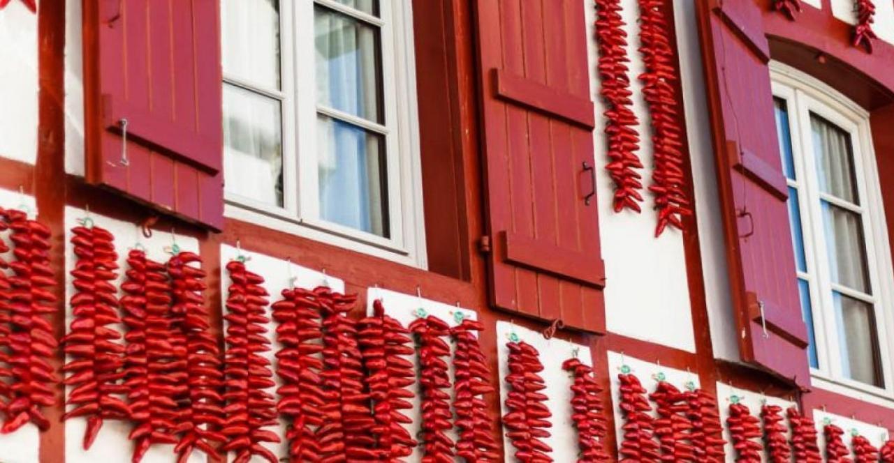 Hotel Berria Hasparren Dış mekan fotoğraf